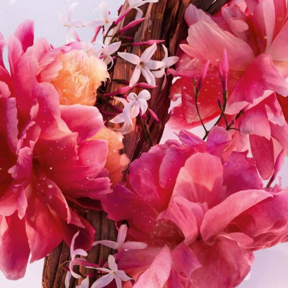 Perfume Dior Miss Dior Parfum 50 ml - Imagen 3